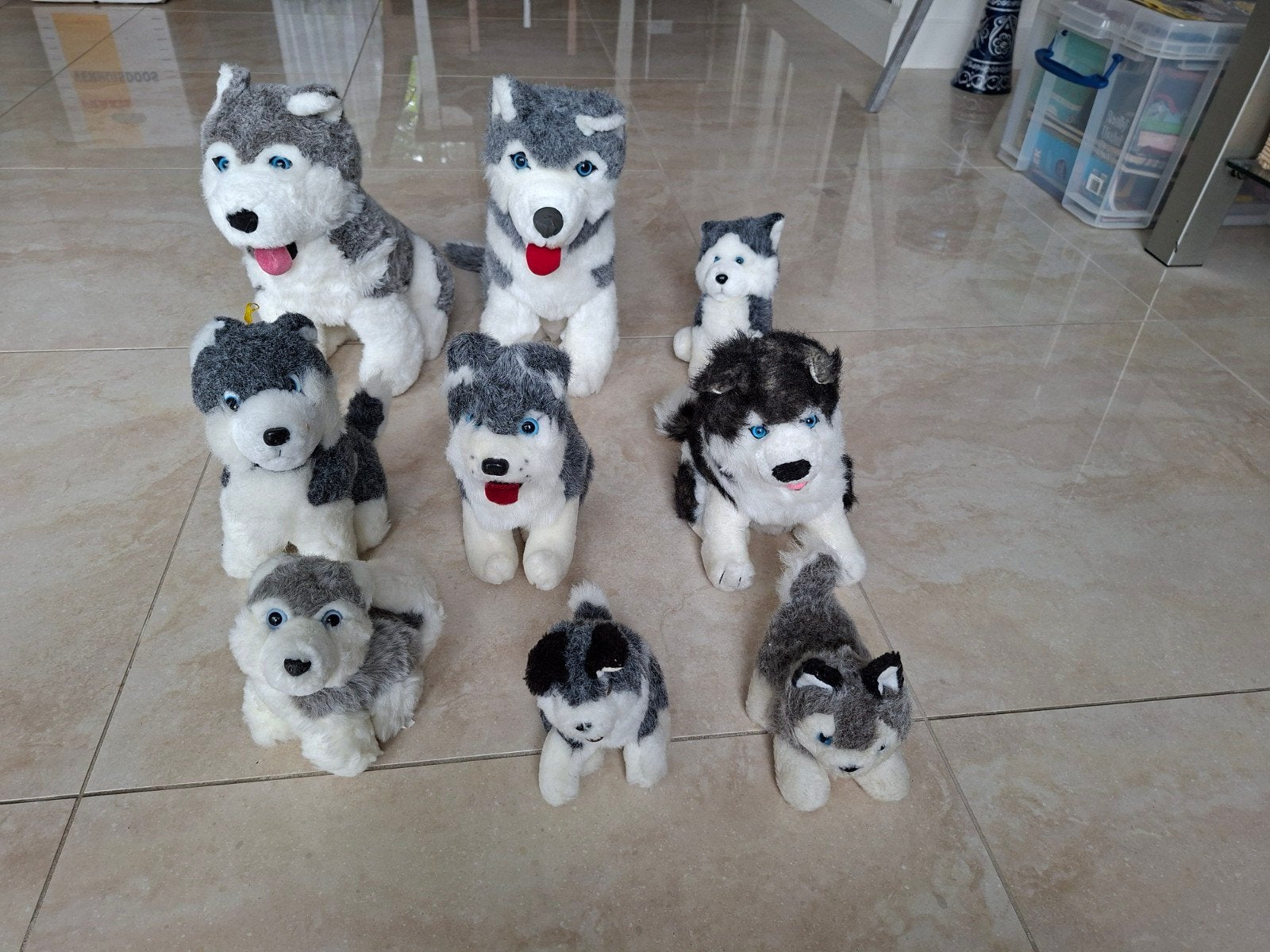 Leuke Husky honden knuffels (9st.) in verschillende maten, Gebruikt, Grijs, Middelgroot (20 tot 80 cm), Hond
