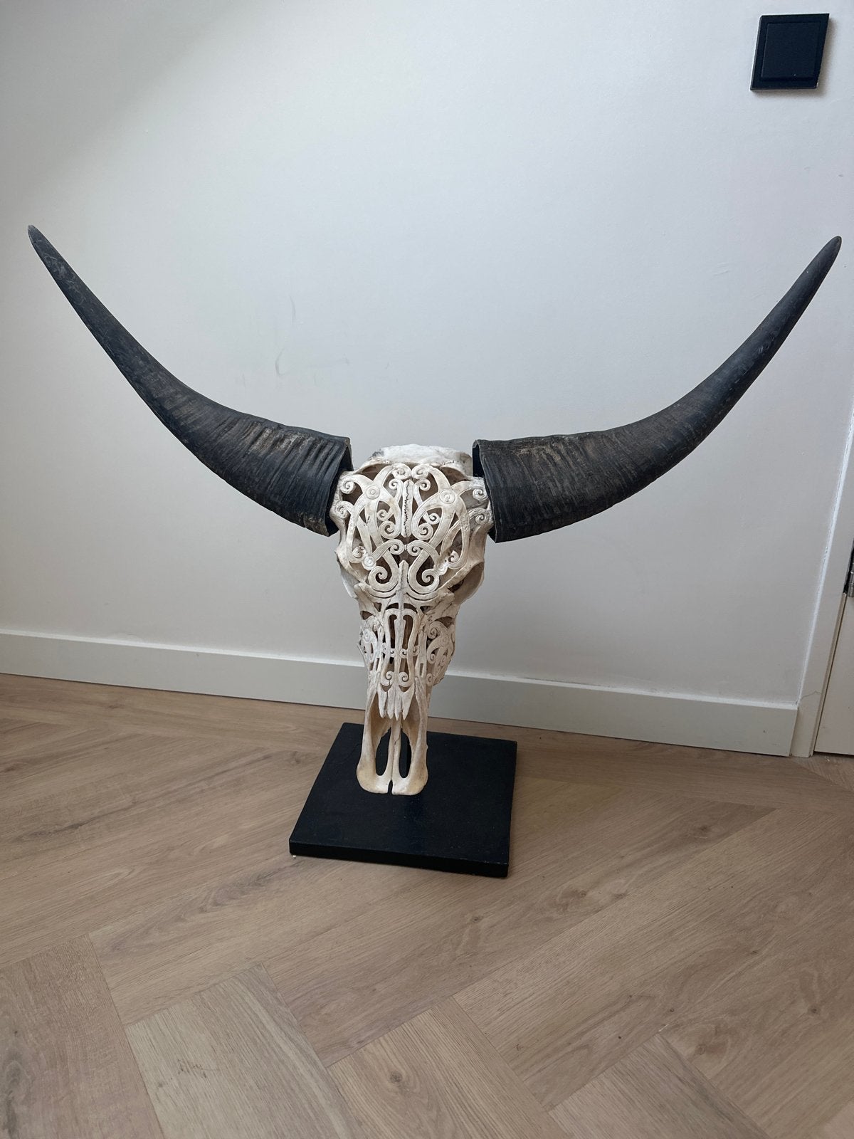 Decoratieve Buffelschedel met Hoorns - Handgesneden, Ophalen, Natuurlijk materiaal, 50 - 100 cm, Beeld