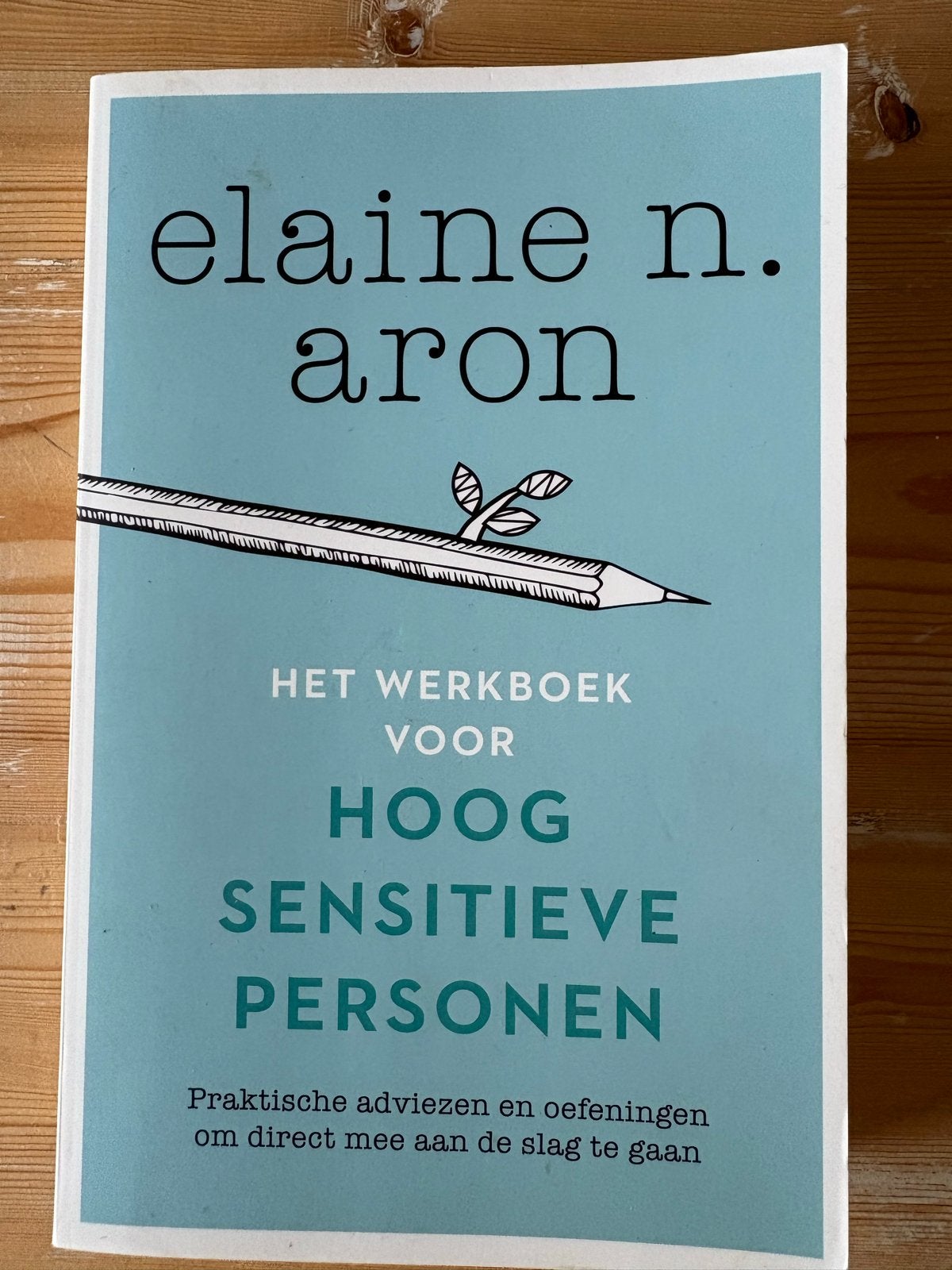 Het werkboek voor hoog sensitieve personen - Elaine N. Aron, Ophalen of Verzenden, Zo goed als nieuw