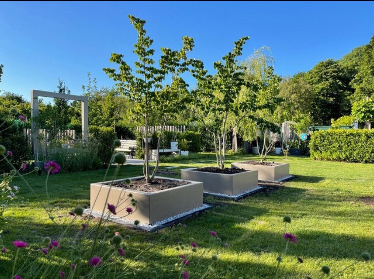 Vakbekwame Hovenier – Voor al uw Tuinwerk, Bestrating