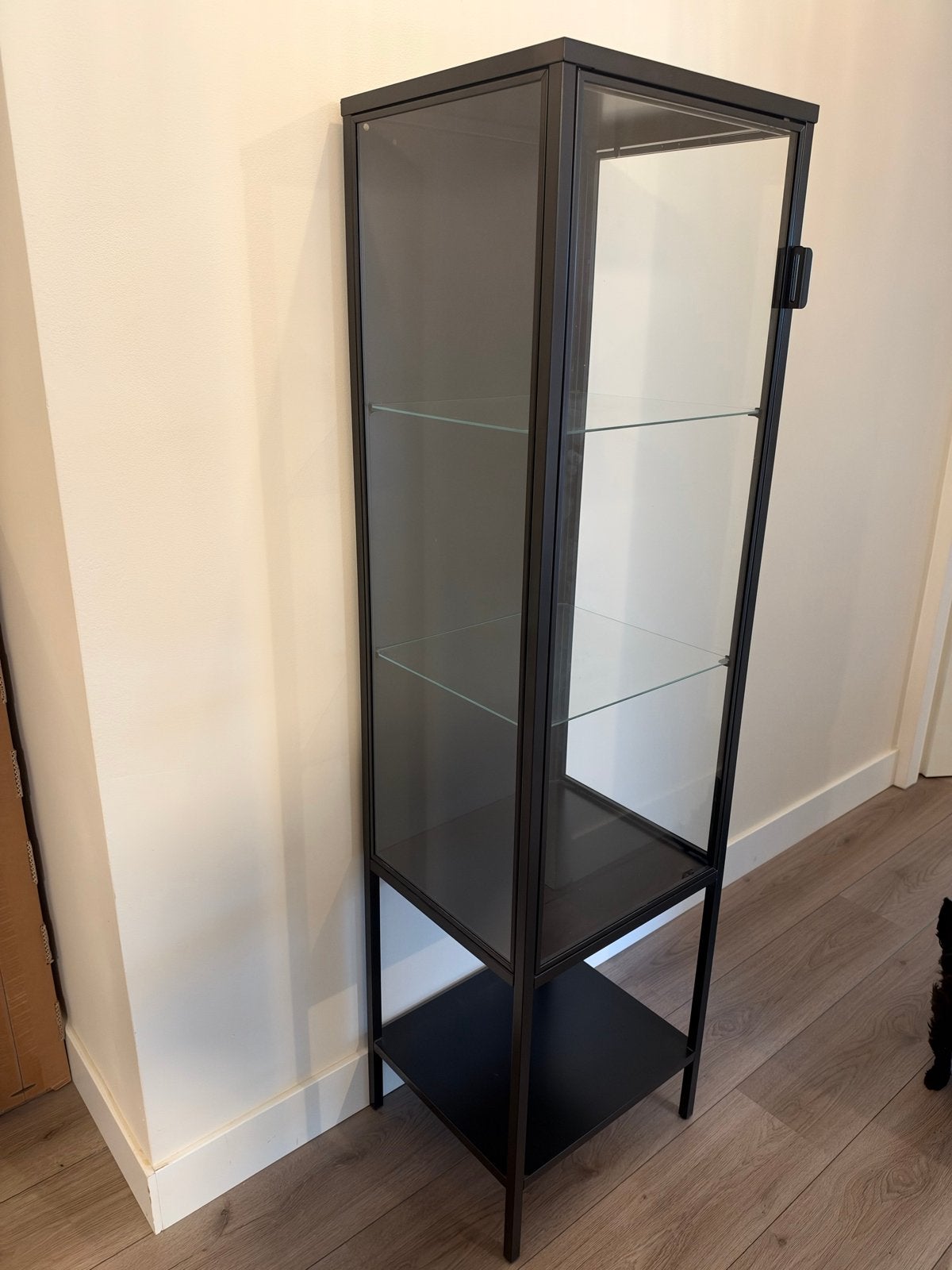 Foto 7 van Ikea RUDSTA Vitrinekast - Zo goed als nieuw