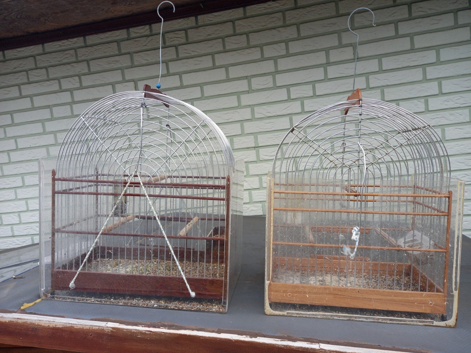 Surinaamse twa twa kooien, Ophalen, Hout, Vogelkooi