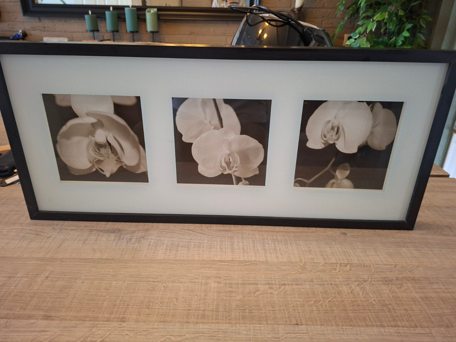 Ingelijste zwart-wit foto's van orchideeën, Ophalen, Gebruikt, Foto of Poster, 5 – 50