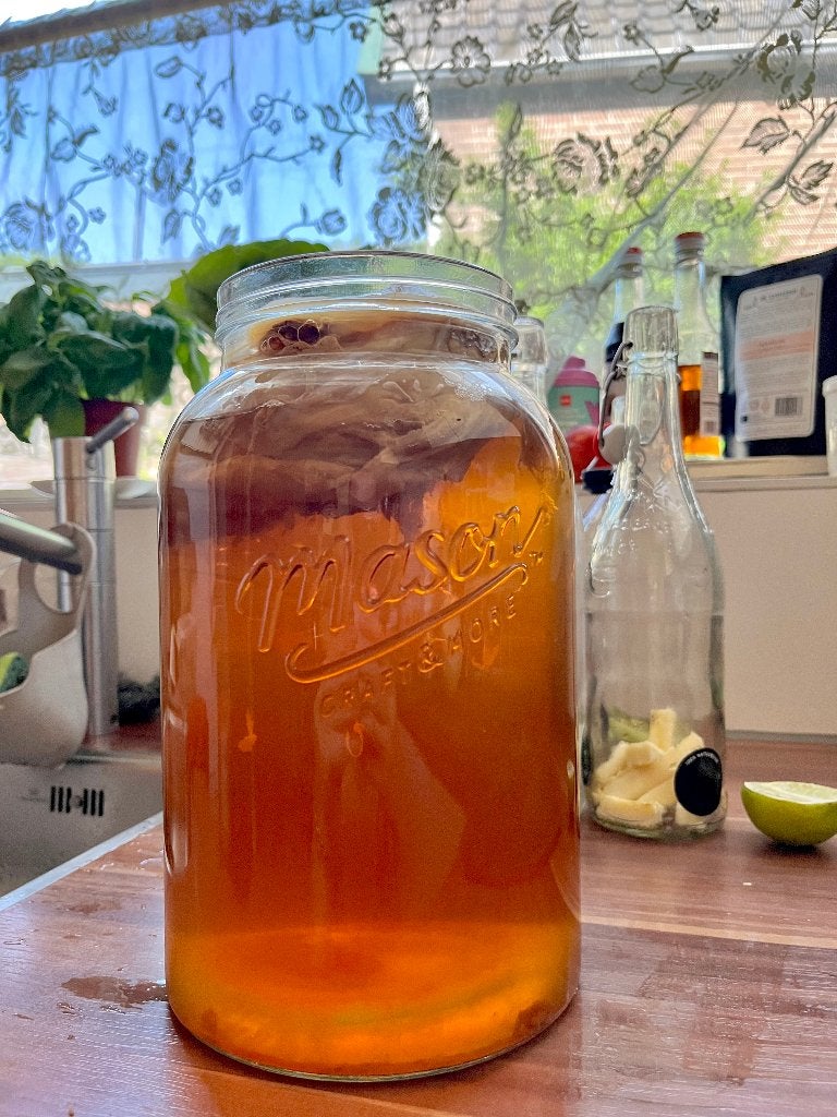 SCOBY 'Erna' + 500ml Kombucha Starter, Ophalen