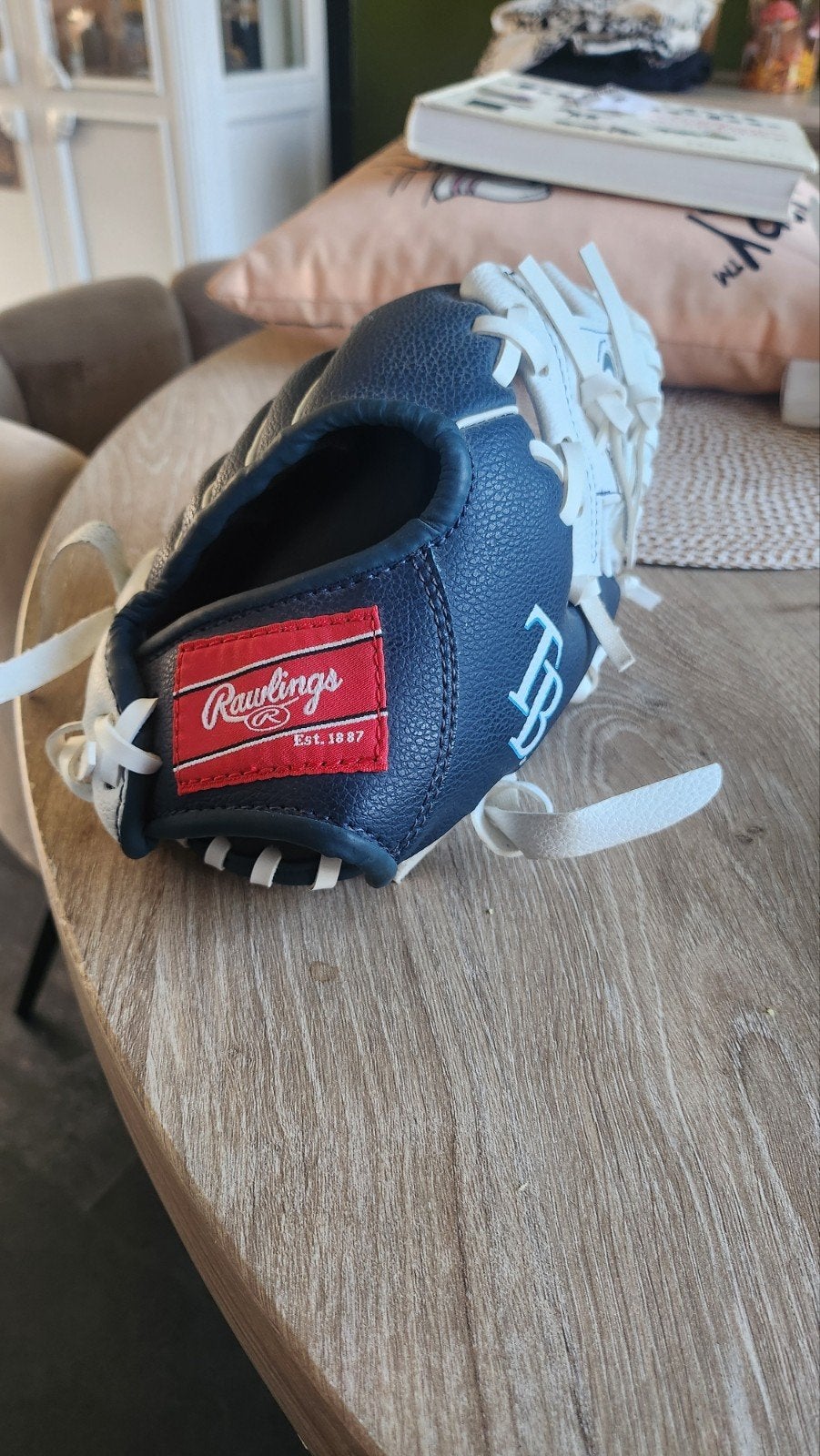 Rawlings The Gold Glove Co. 10 Inch Honkbalhandschoen, Ophalen of Verzenden, Nieuw