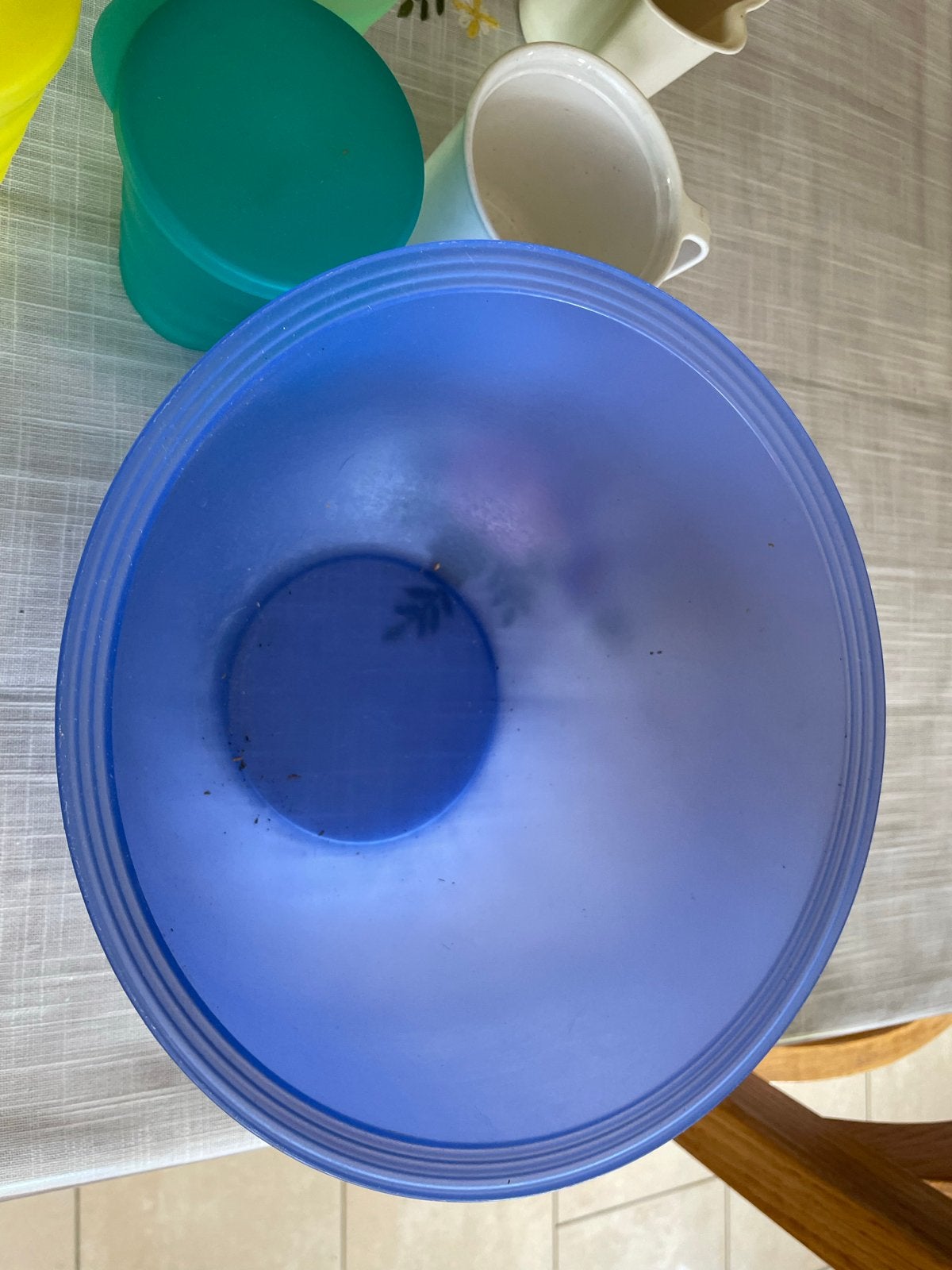 Tupperware set: kom, kan en bekers, Gebruikt, Blauw, Ophalen of Verzenden, Bak of Kom