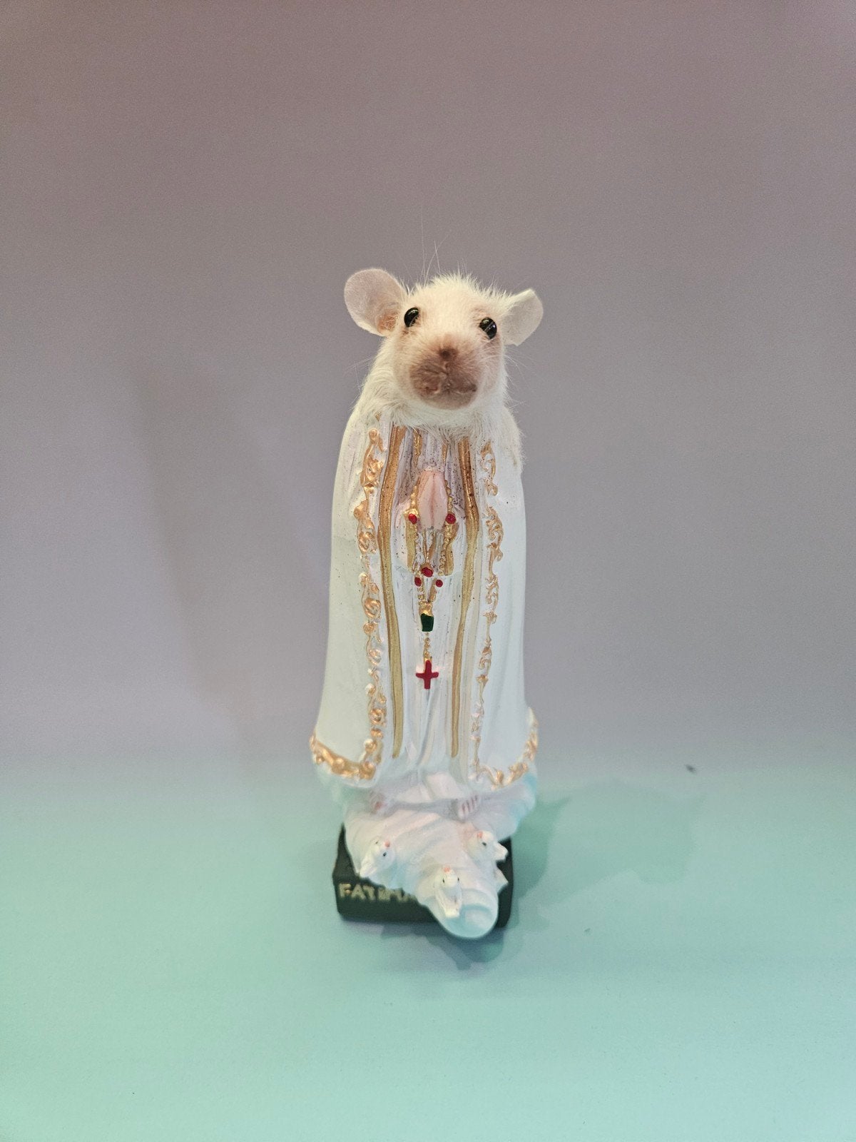Taxidermy Heilige muis, Verzamelen, Dierenverzamelingen, Ophalen of Verzenden, Nieuw, Boerderijdier, Gewei of Kop