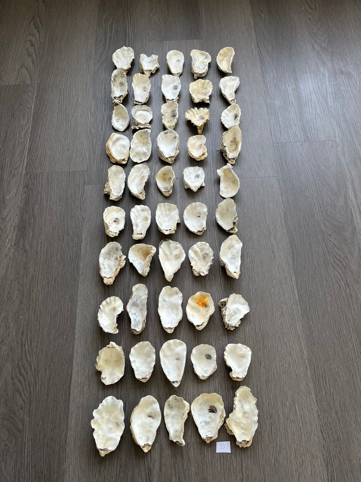 100 diepe en platte oesterschelpen, Ophalen of Verzenden, Schelp(en)