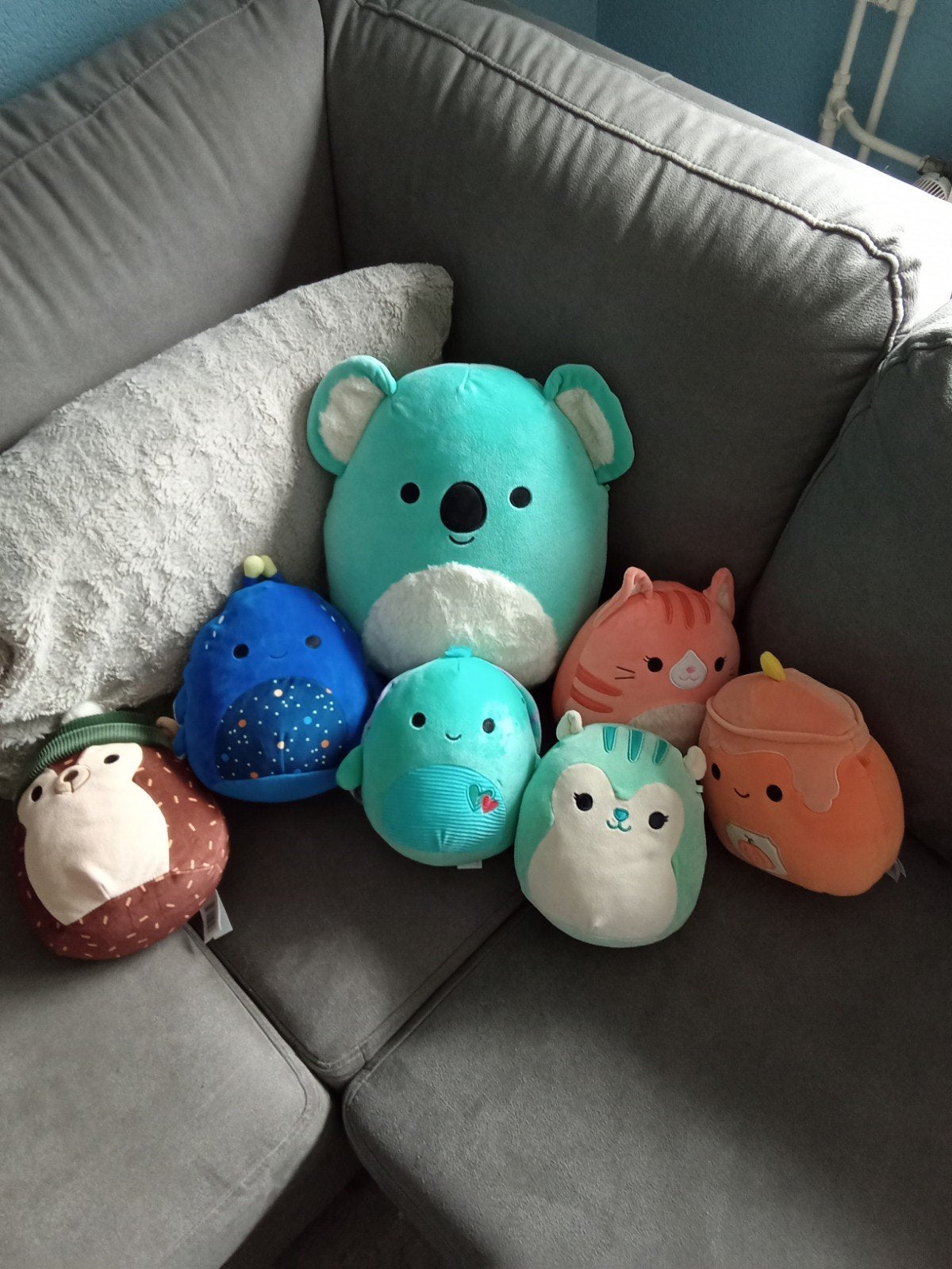 Squishmallow, Ophalen of Verzenden, Zo goed als nieuw, Overige typen