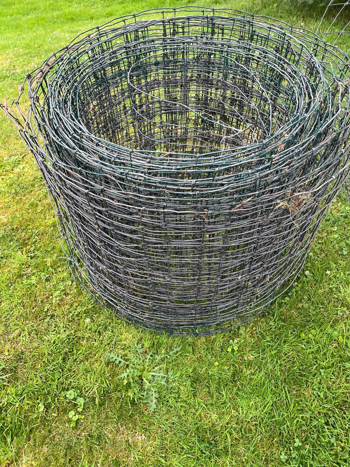 Rol gaas 50 meter, Tuin en Terras, Ophalen, Gebruikt, 20 meter of meer, Gaas