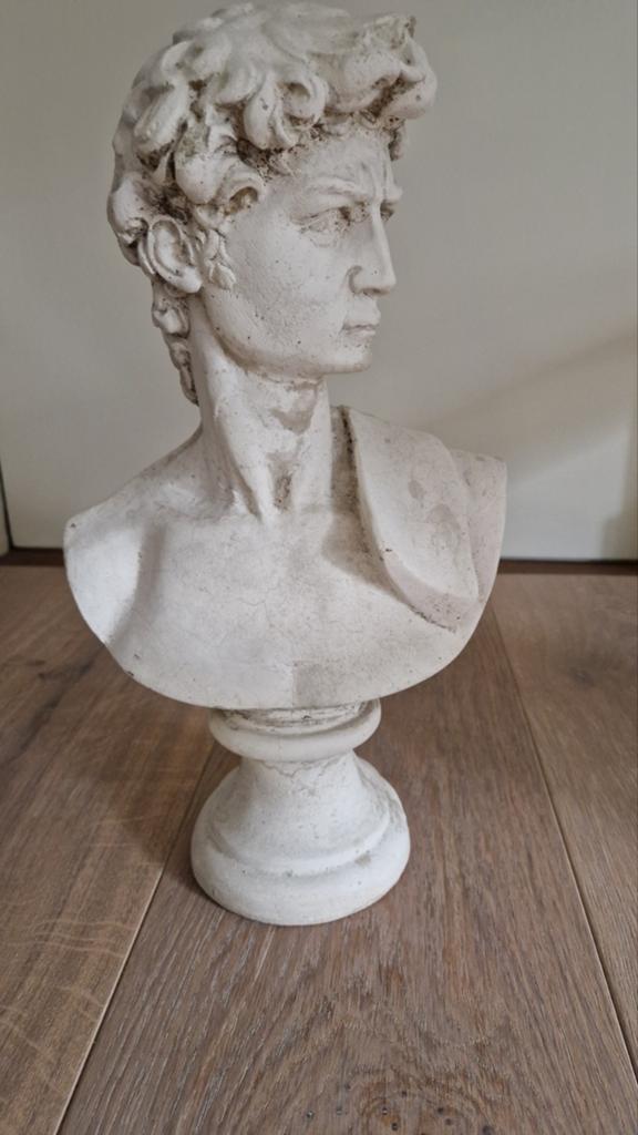Borstbeeld david, Ophalen