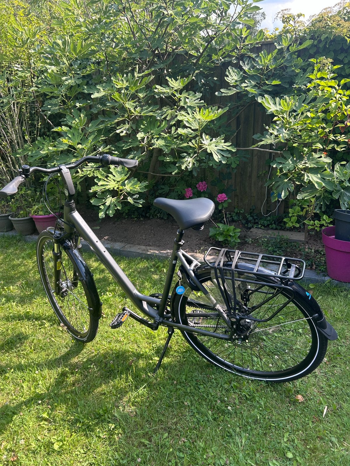 Pegasus Siena 7 Belt Damesfiets 28 inch, 53 tot 56 cm, Versnellingen, Zo goed als nieuw, Schijfrem