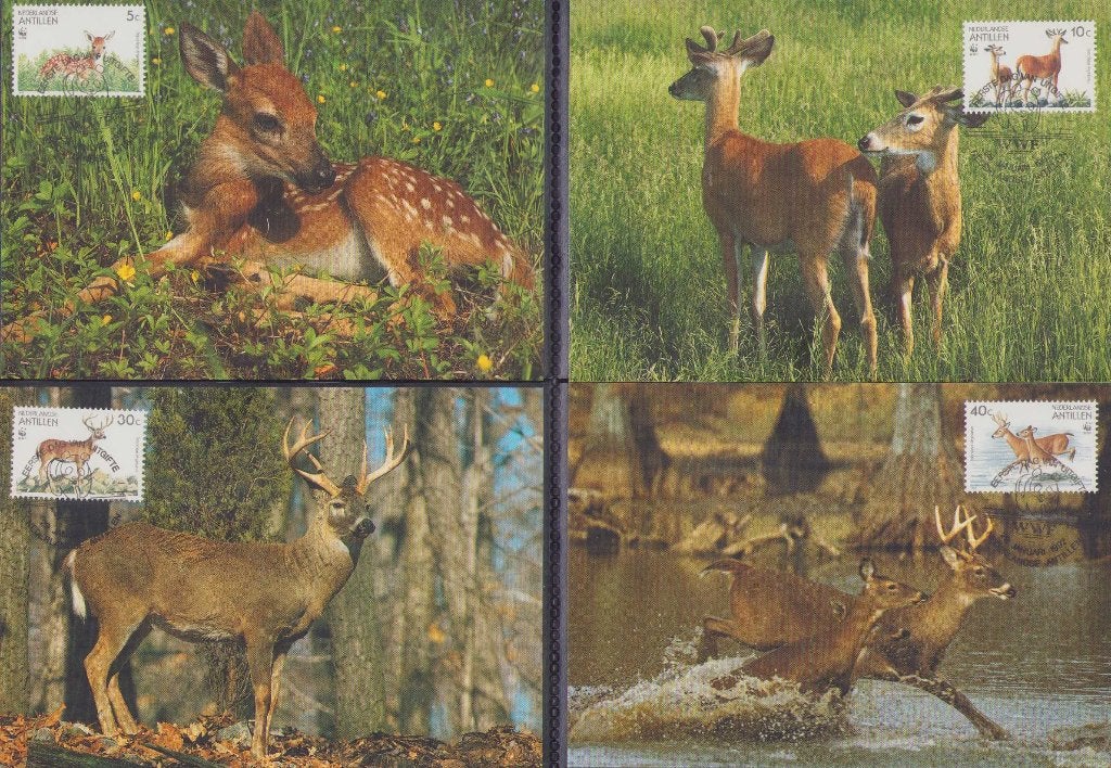 WWF set maxikaarten van de Witstaarthert, Ophalen of Verzenden, Gestempeld, Dier of Natuur