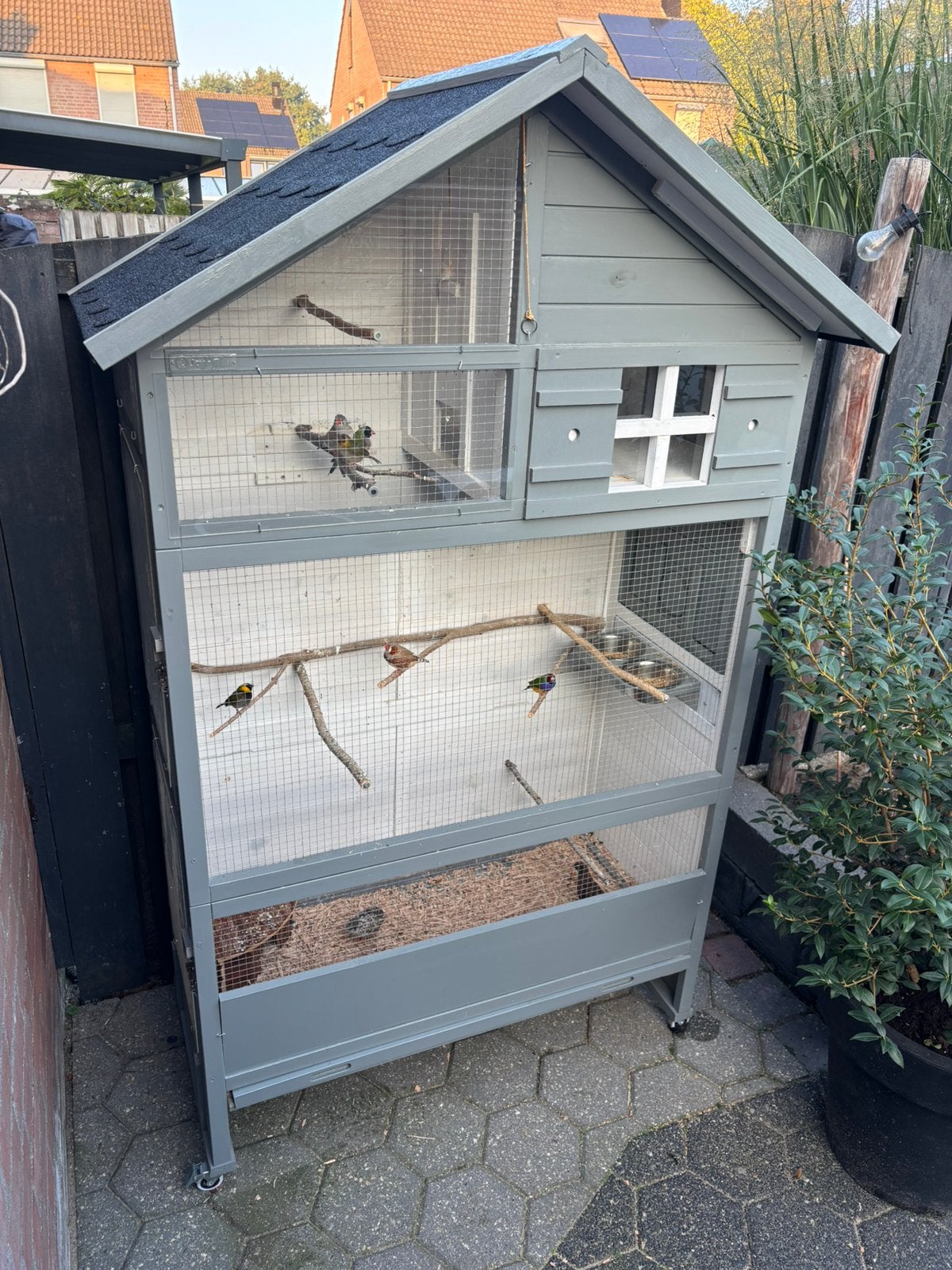 Mooie grote voliere met vogels, Dieren en Toebehoren, Ophalen, Gebruikt, Hout, Volière