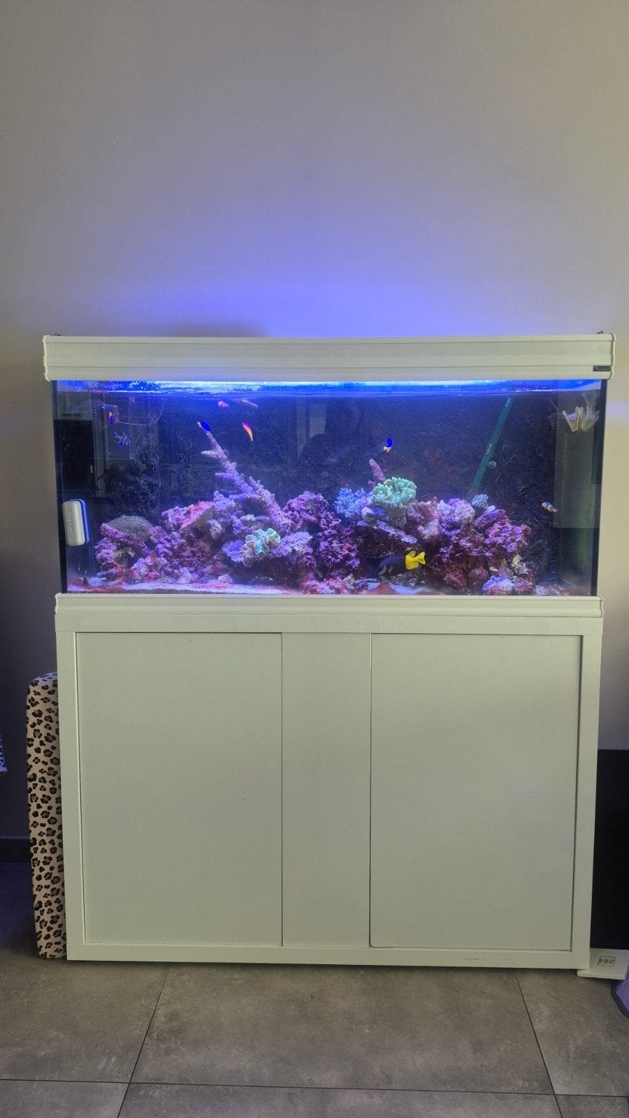 zoutwater aquarium, Ophalen, Gevuld zeewateraquarium, Aquatlantis, Gebruikt