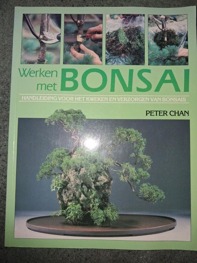 Werken met bonsai, Ophalen of Verzenden, Zo goed als nieuw, Kamerplanten, Peter Chan