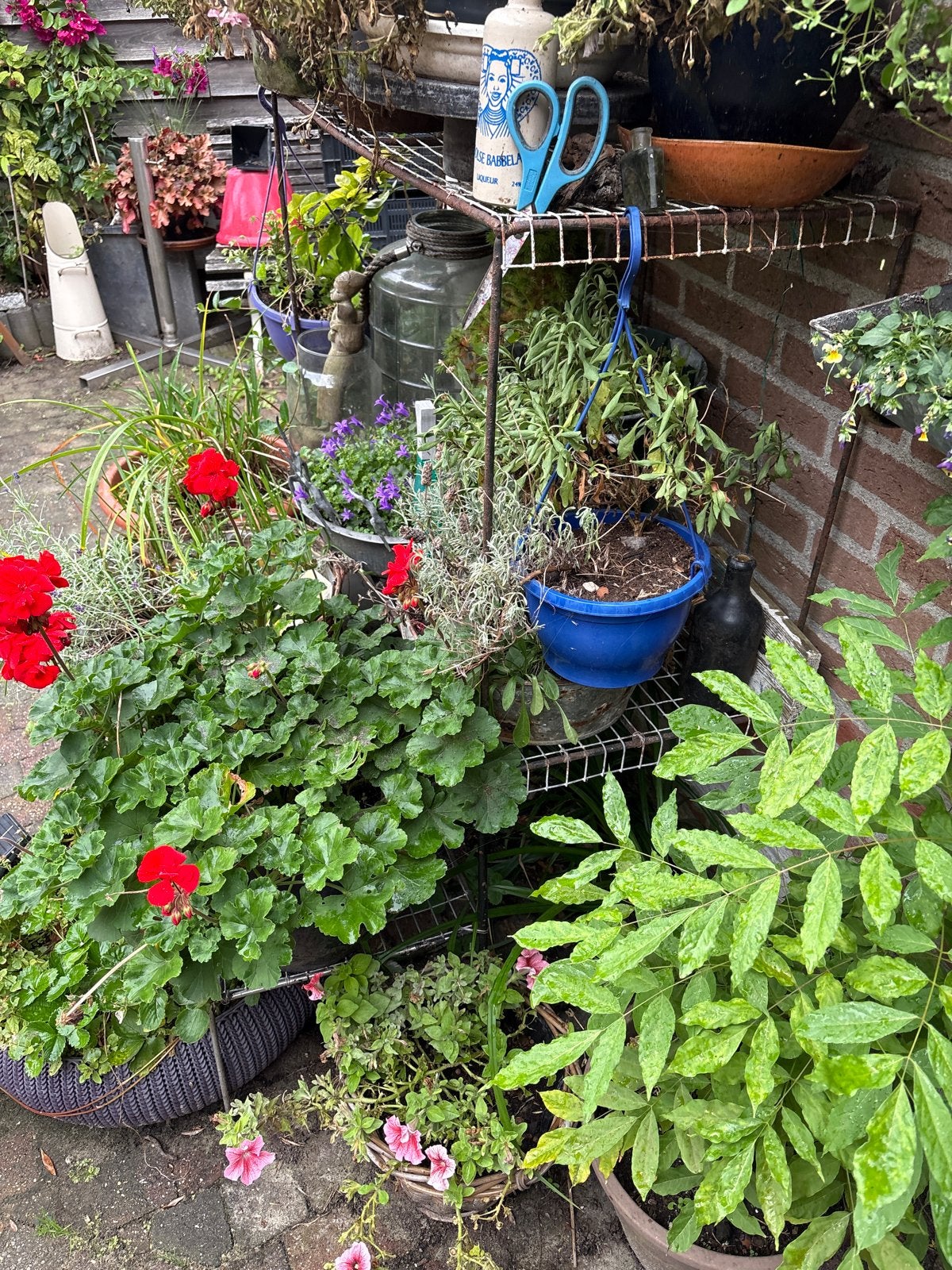 Planten rek voor tuin of balkon, Gebruikt, 40 cm of meer, Ophalen of Verzenden, Metaal