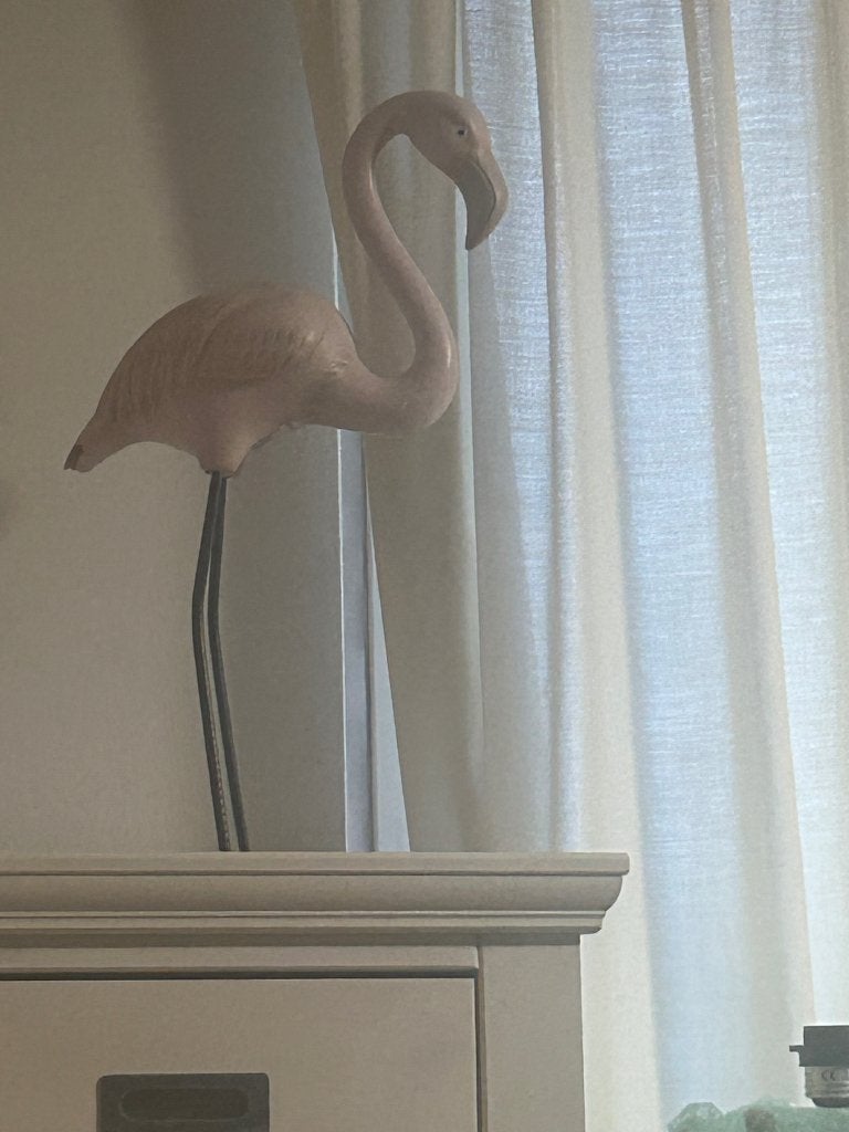 mooie roze vogel, Tuin en Terras, Ophalen, Gebruikt, Rond, Balkon
