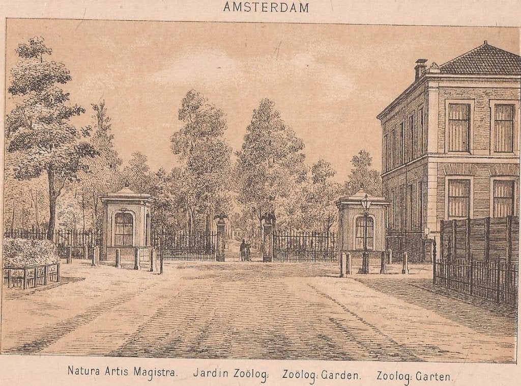 Amsterdam Natura Artis Magistra Jardin Zoölog Dierentuin 188, Antiek en Kunst, 1800 - 1899, Stadsgezicht, Ophalen of Verzenden