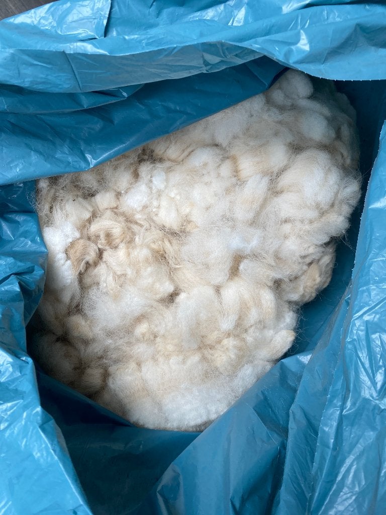 Alpaca Wol, dit jaar schoren van onze alpaca hilke, Ophalen of Verzenden, Zo goed als nieuw, Spinwol