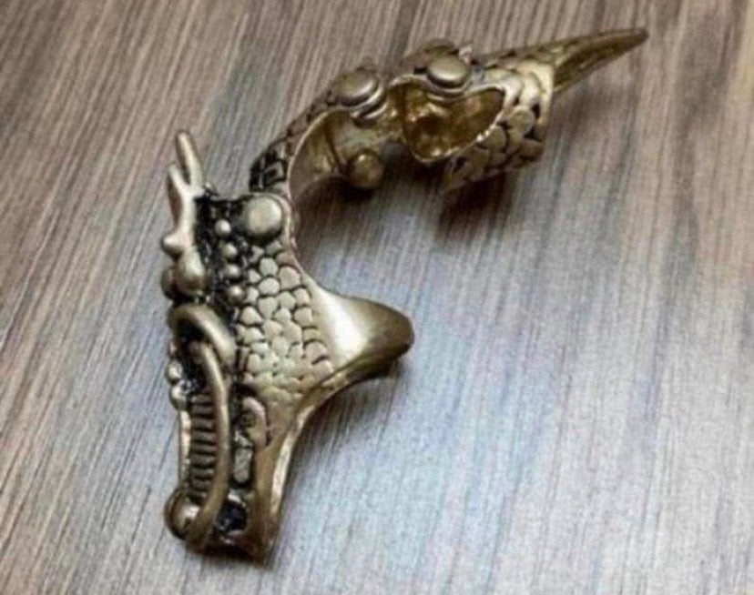 Draak vinger ring. Gehele vinger, Overige materialen, Ophalen of Verzenden, Zo goed als nieuw, Dame of Heer