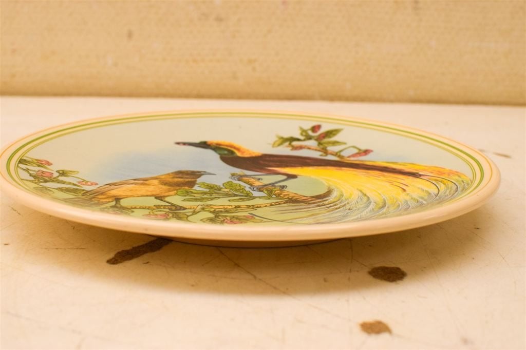 Porseleinen Wandbord met prent van Paradijsvogels 50010, Ophalen of Verzenden, Gebruikt