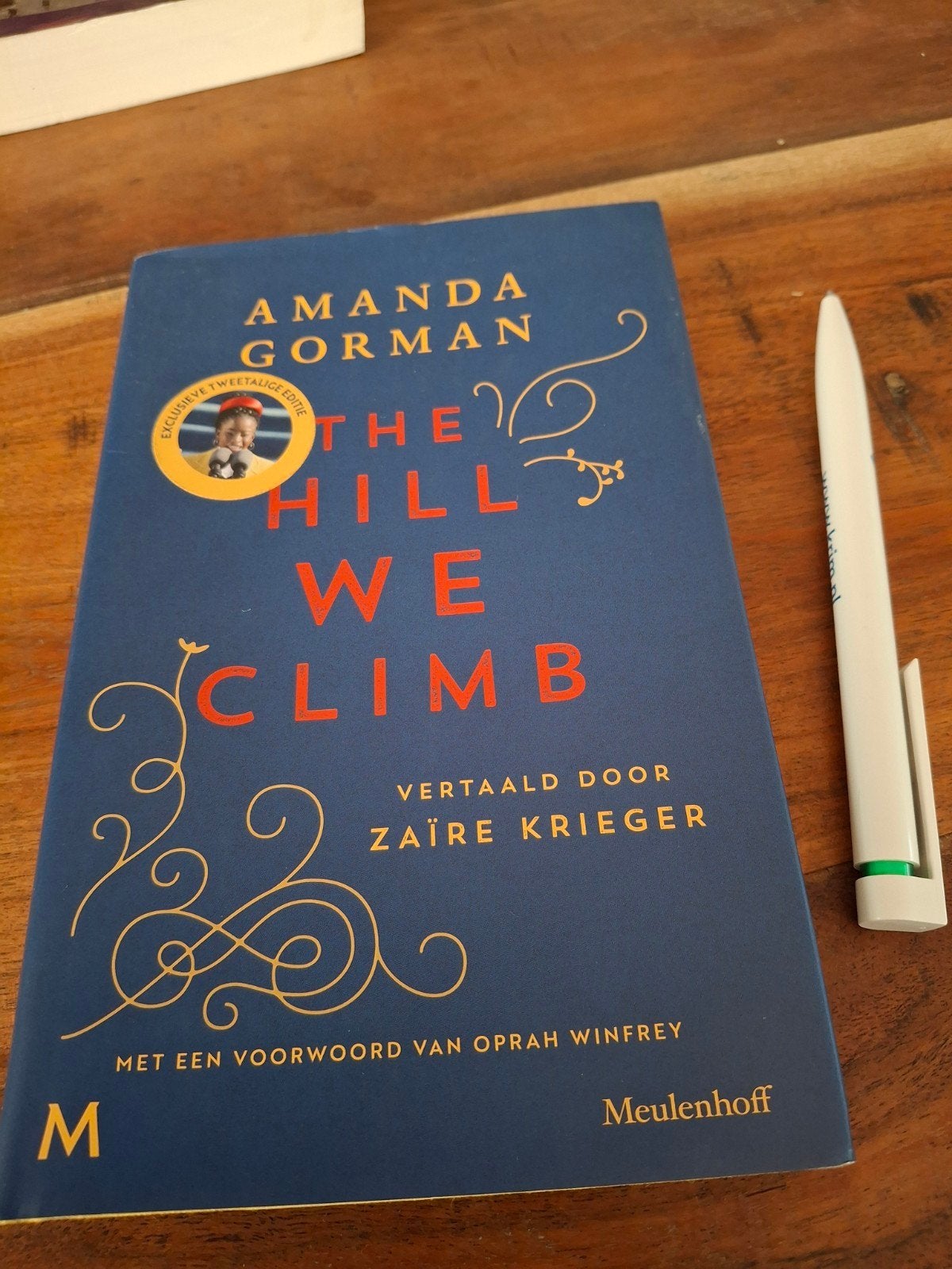 Amanda Gorman - The Hill We Climb, Ophalen of Verzenden, Zo goed als nieuw, Amanda Gorman