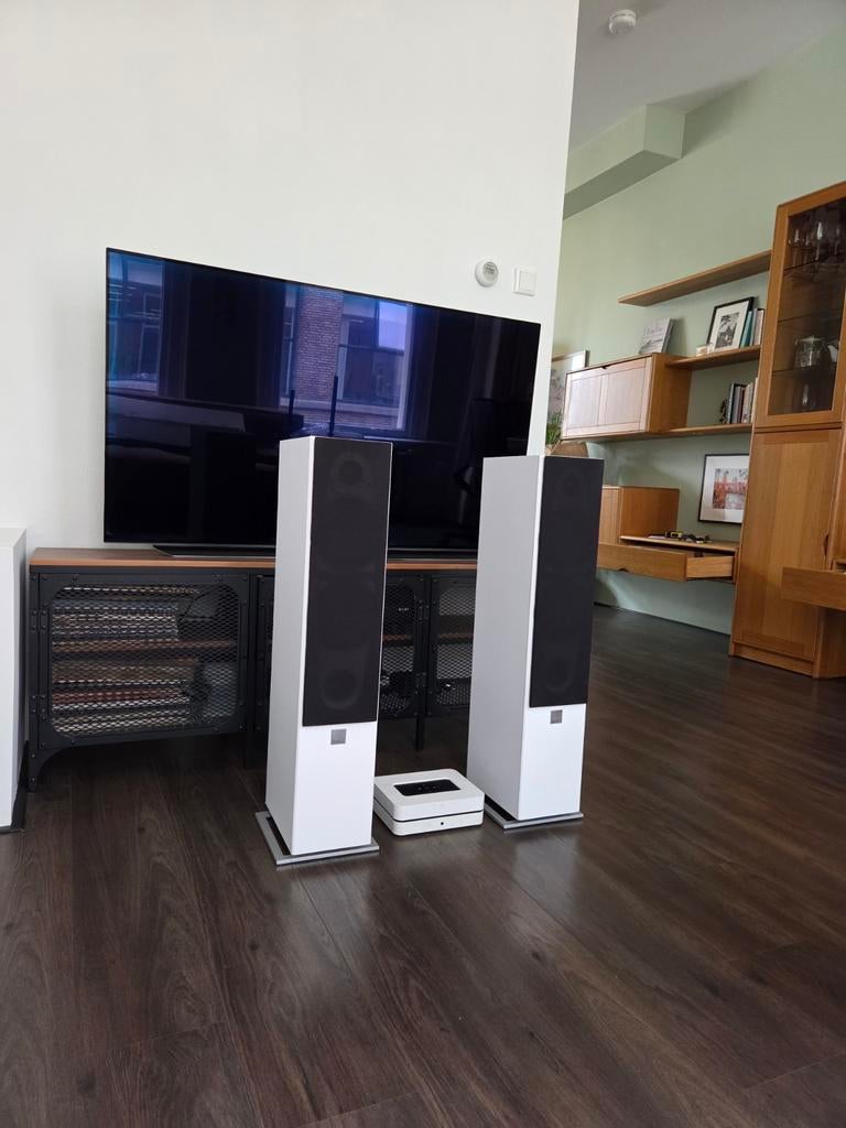 Dali Zensor 5 luidsprekers met Bluesound Powernode 2, Audio, Tv en Foto, Luidsprekers, Ophalen, Front, Rear of Stereo speakers