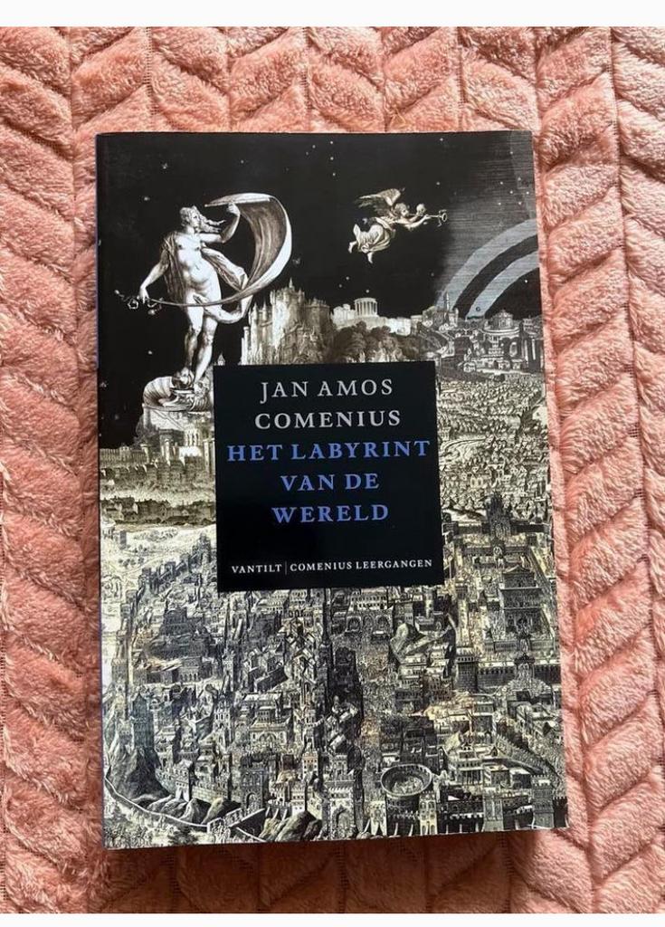 Het Labyrint van de Wereld Jan. Amos Comenius, Boeken, Ophalen of Verzenden, Zo goed als nieuw, Christendom | Protestants
