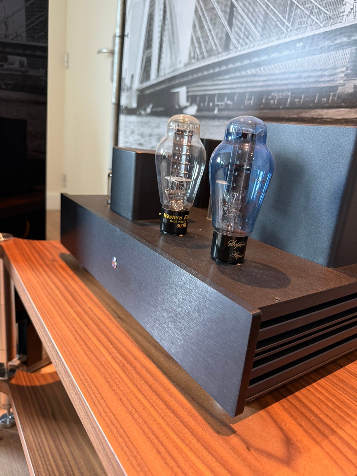 Buizen versterker set 300B mono blokken & voorversterker, Dion Audio, Versterker, 6827AR, Ophalen of Verzenden