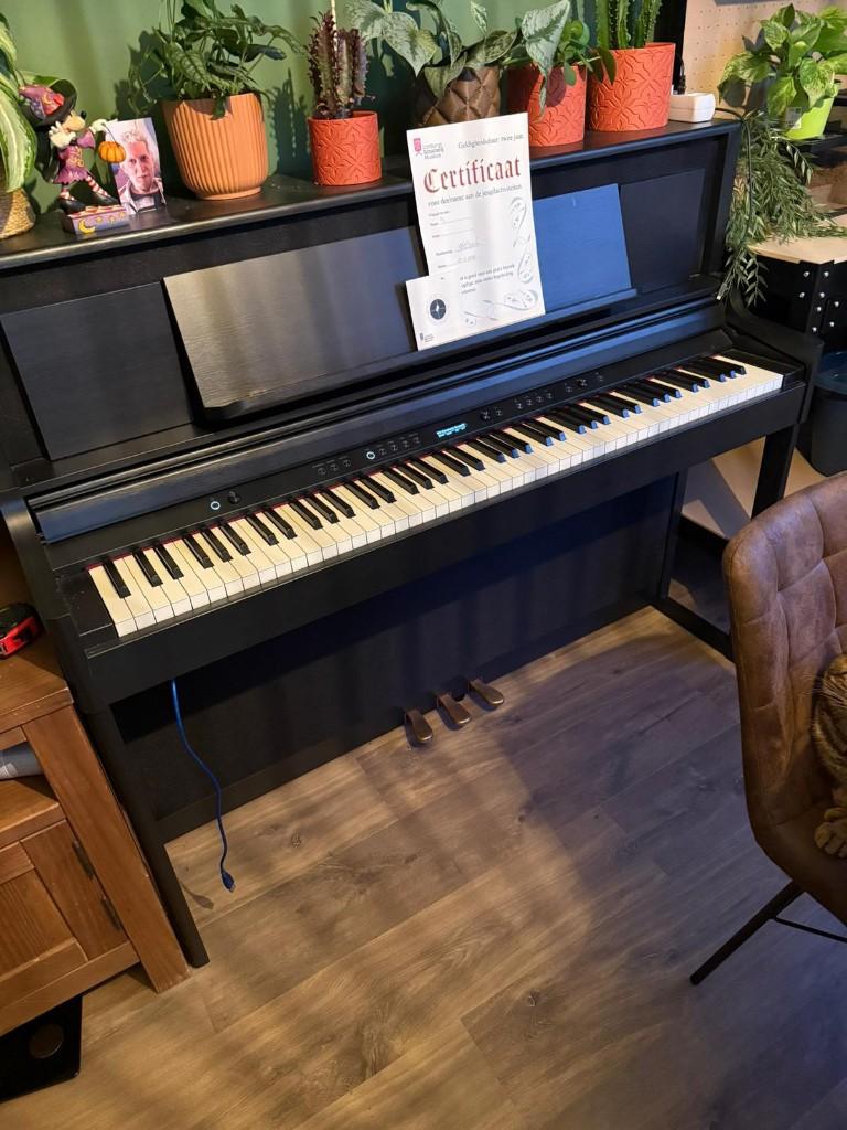 Roland LX-6 CH digitale piano, Muziek en Instrumenten, Piano's, Ophalen, Gebruikt, Zwart, Digitaal