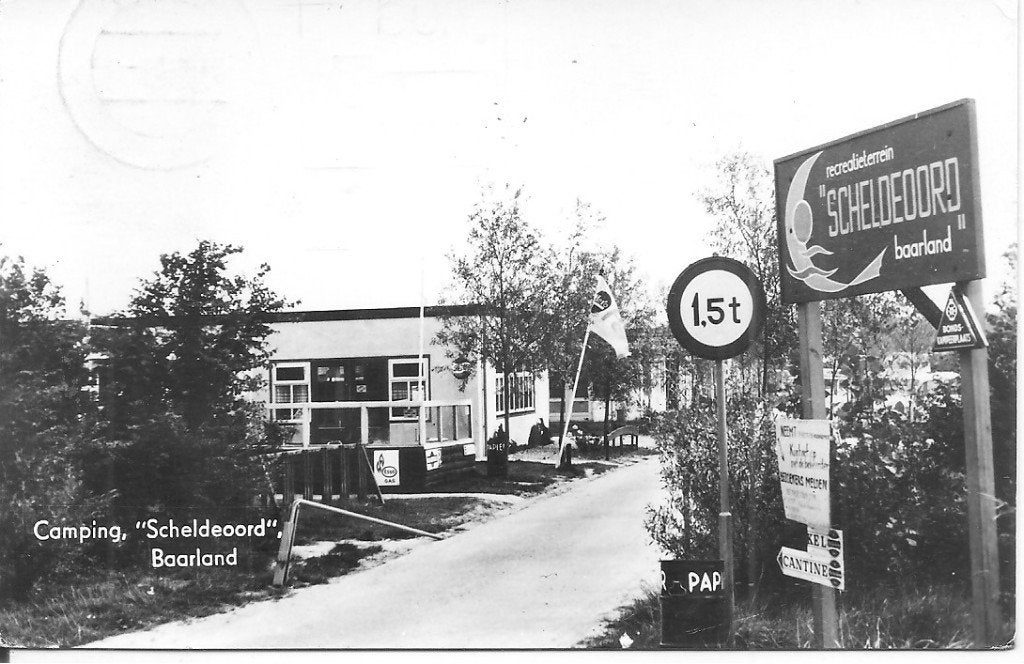Oude ansichtkaart Camping "Scheldeoord" Baarland, Ophalen of Verzenden, 1940 tot 1960, Gelopen, Zeeland