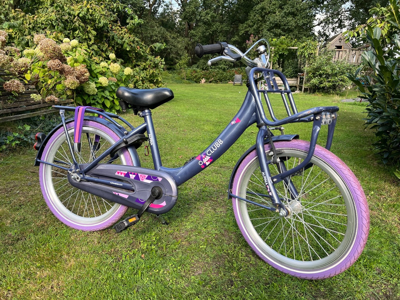 Alpina Clubb meisjesfiets 20 inch met voordrager, Fietsen en Brommers, Ophalen, Terugtraprem, Gebruikt, Handrem