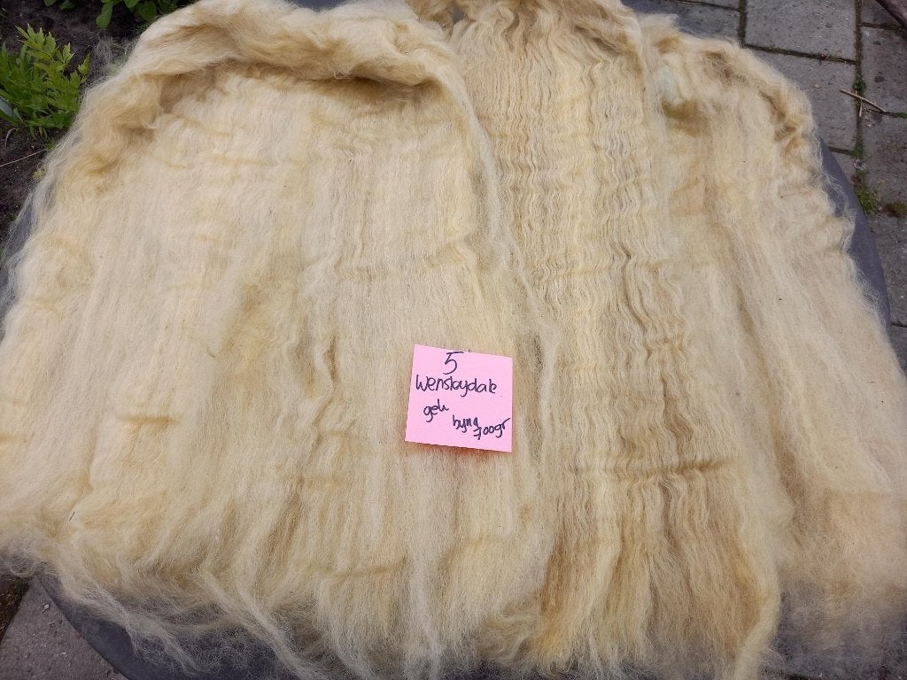 nr 5 Gekaarde Wensleydale wol kaardvlies (ongewassen), Hobby en Vrije tijd, Ophalen of Verzenden, Nieuw