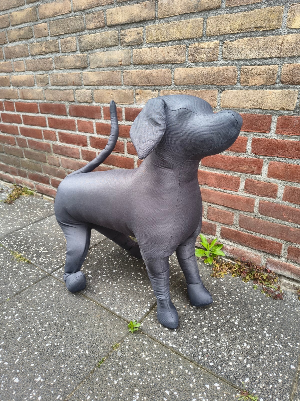 Honden mannequin, Ophalen of Verzenden