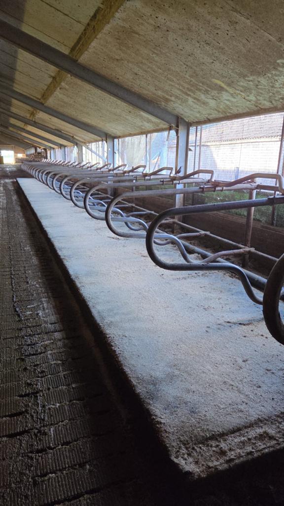 Spinder comfort boxen, Ophalen of Verzenden