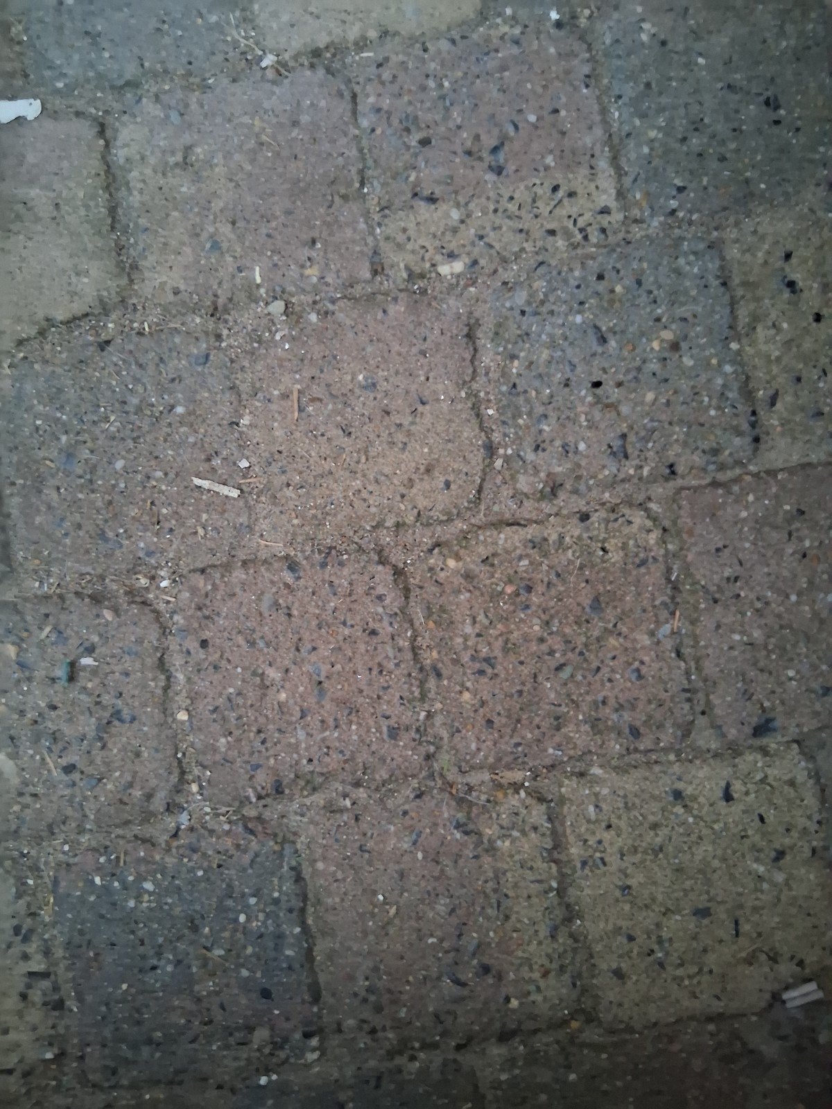 Gratis Gebruikte betonnen klinkers - Diverse maten beschikba, Ophalen, Gebruikt, Klinkers, 10 m² of meer