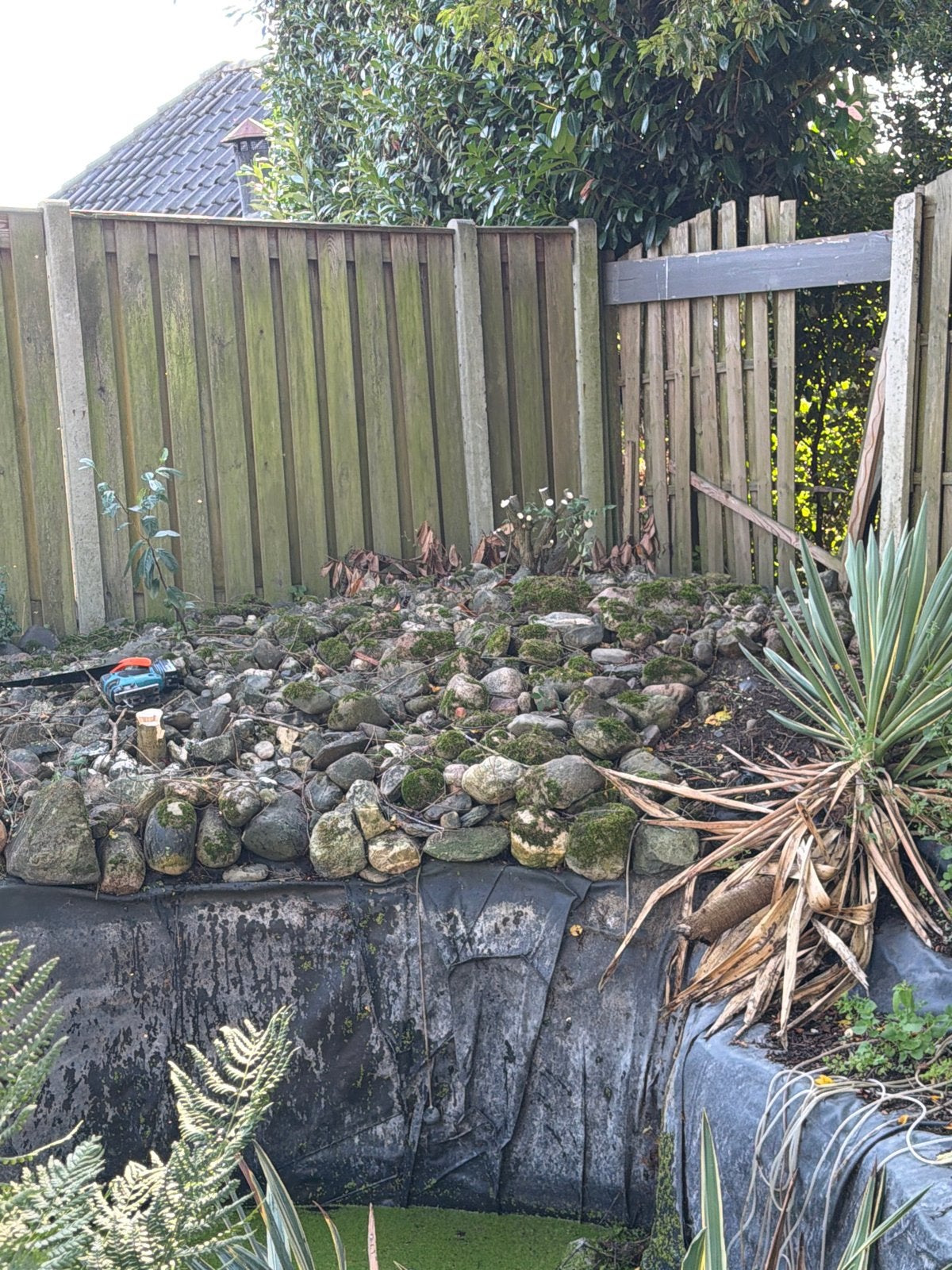 Veel Zwerfkeien/vijverkeien, Ophalen
