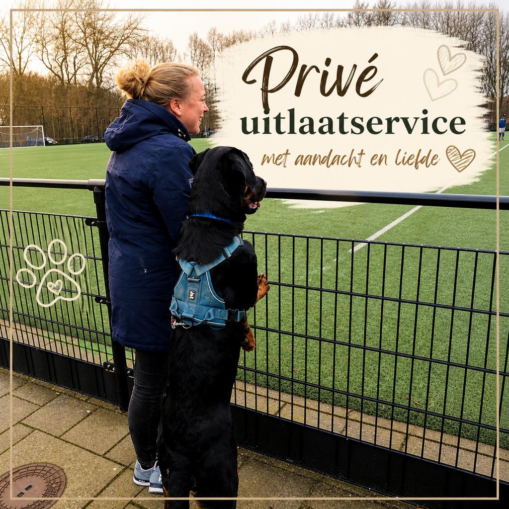 Privé uitlaatservice met aandacht en liefde voor uw hond