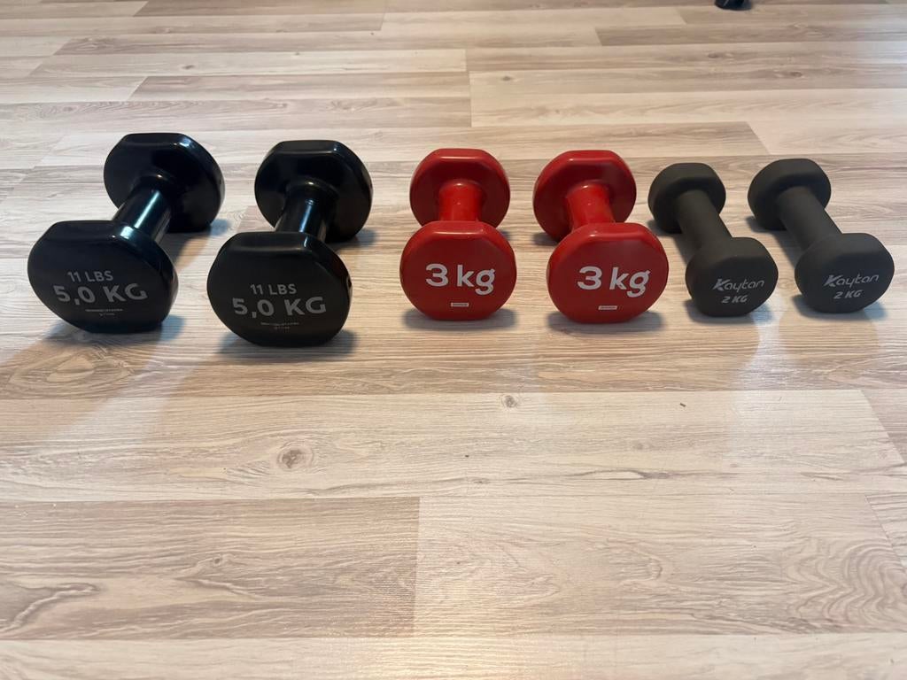 Dumbells, Sport en Fitness, Fitnessmaterialen, Ophalen, Zo goed als nieuw, Benen, Dumbbell