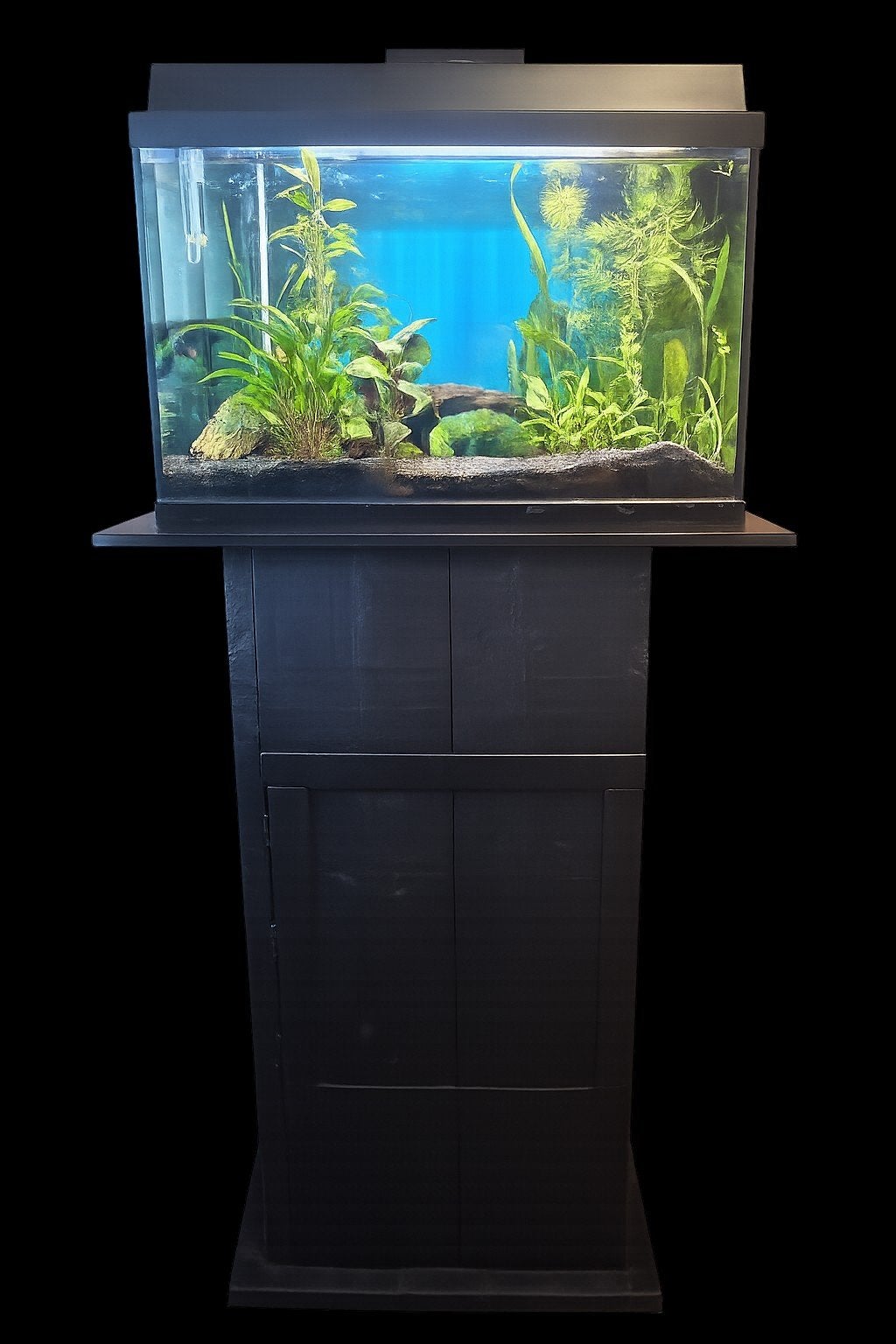 Aquarium plus kast 60liter, Ophalen, Leeg aquarium
