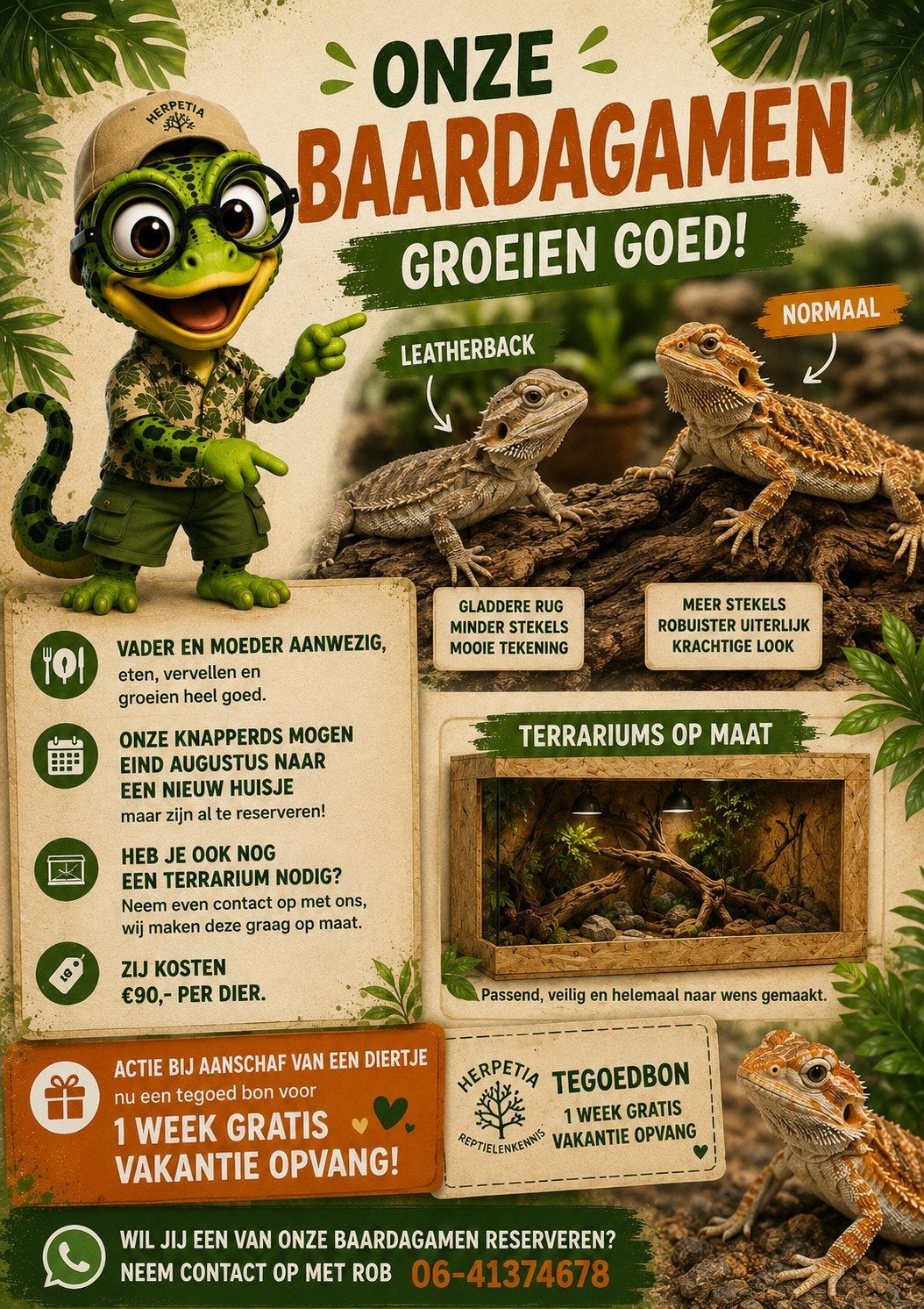 Baardagamen  waarvan 1 Leatherback, te reserveren!, Hagedis, 0 tot 2 jaar