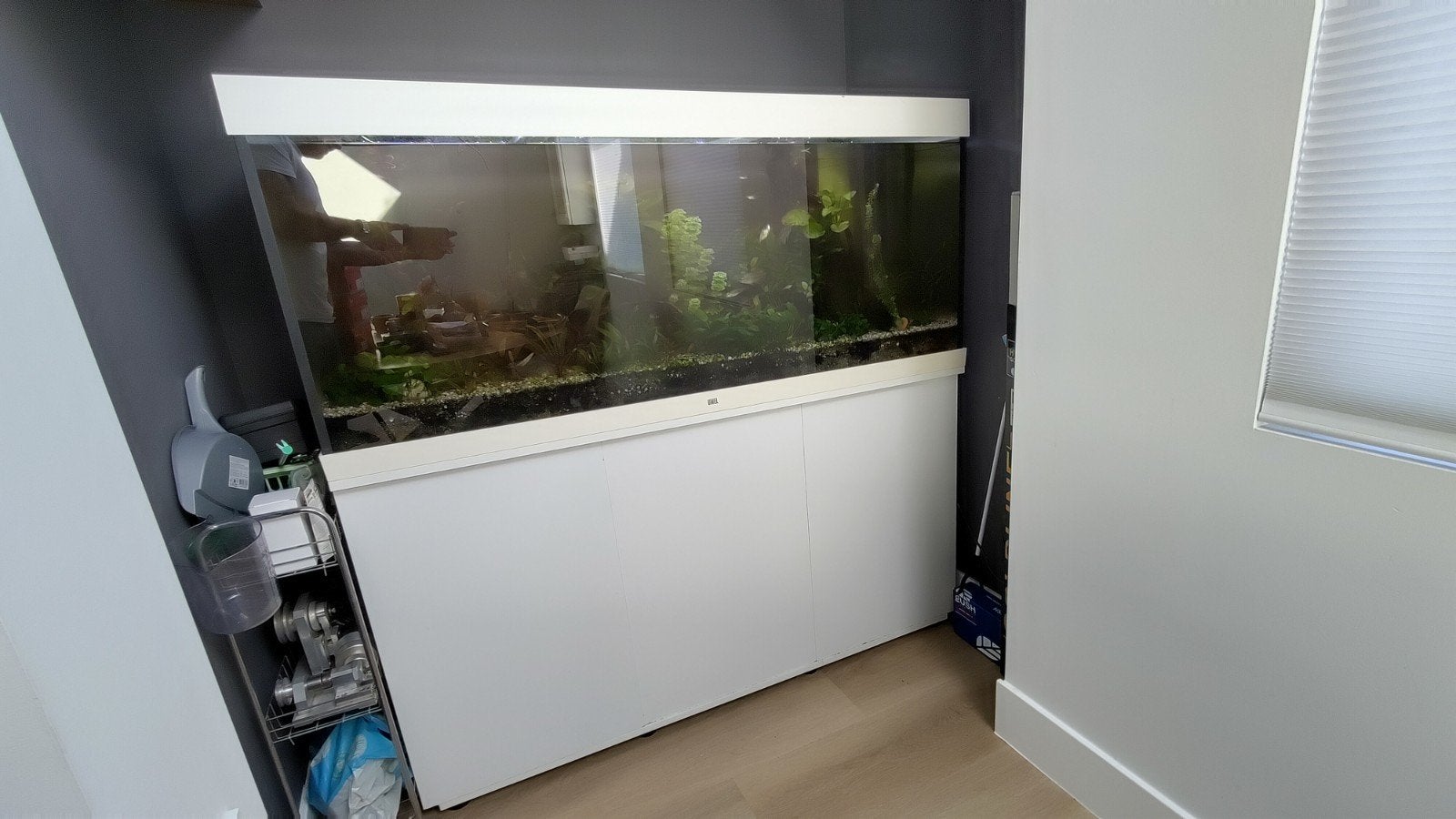 Juwel Rio 450, Ophalen, Gebruikt, Inclusief vissen, Leeg aquarium