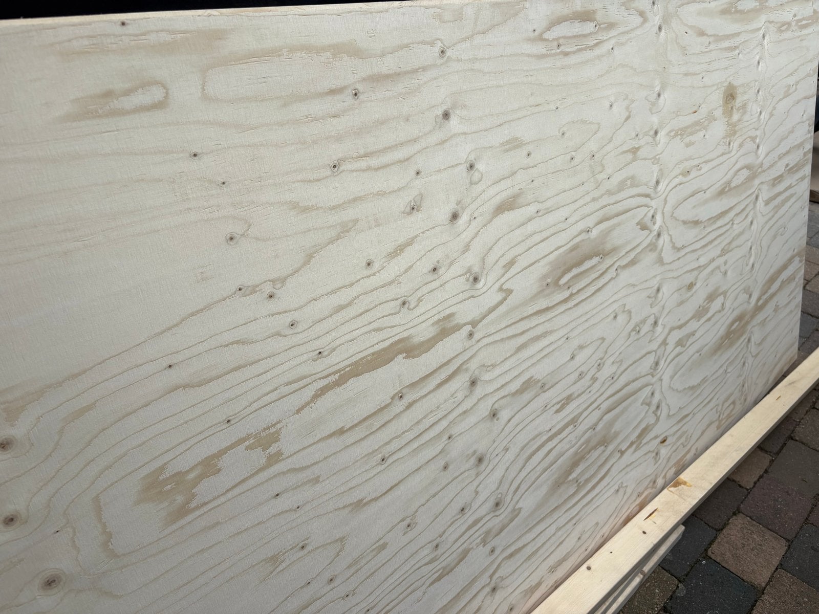 2x Grote multiplex plaat, nieuw 2440x1220mm x18, Ophalen, Minder dan 25 mm, Nieuw, 200 tot 250 cm