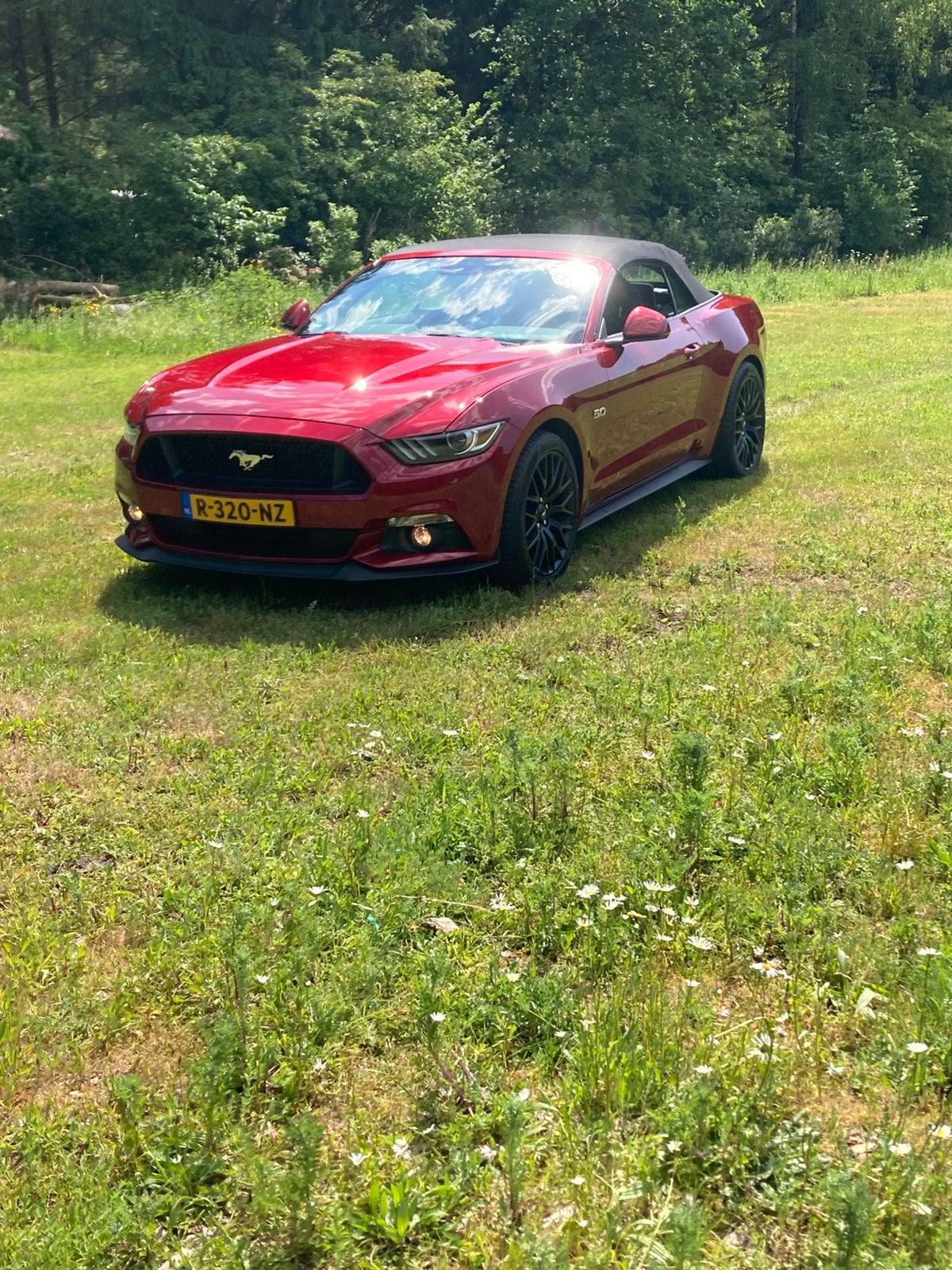 Ford Mustang 5.0GT Cabriolet, Automaat, Achterwielaandrijving, 5000 cc, Cabriolet