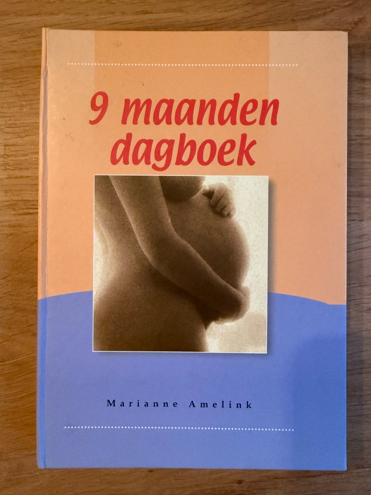 9 maanden dagboek - Zwangerschapsdagboek, Boeken, Ophalen of Verzenden, Zo goed als nieuw, Zwangerschap en Bevalling
