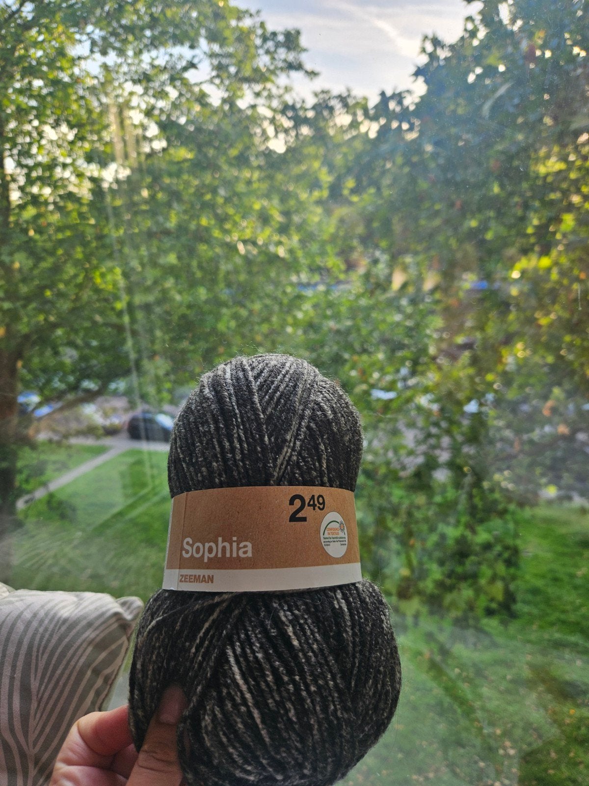 10 bollen Sophia wol zwart - Zeeman, Ophalen of Verzenden, Nieuw, Breien of Haken, Wol of Garen