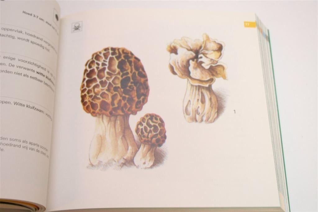 Paddenstoelen — Herkennen & Determineren in West-Europa, Boeken, Natuur, Ophalen of Verzenden, Gelezen, Vogels