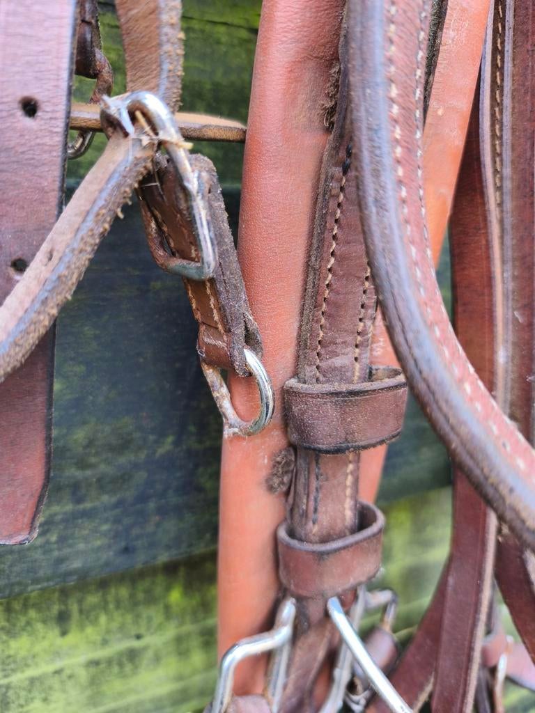 Tweespan tuig voor pony 's van ongeveer 1.40 m stokmaat., Dieren en Toebehoren, Ophalen, Overige soorten