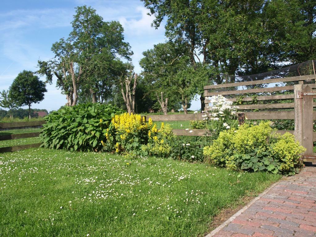 Vakantiehuisje friesland, Landelijk, Aan meer of rivier, Friesland, 1 slaapkamer